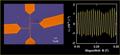 Widerstandsoszillationen im Magnetfeld durch Interferenzen von Leitungselektronen in einem Goldring