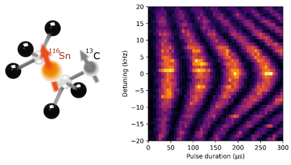 SnV center with a coherent electron spin coupled to a next-neighbor 13C nuclear spin. Right: Nuclear Rabi Oscillations