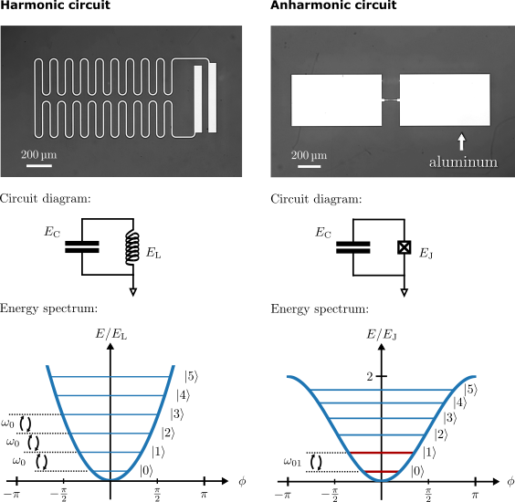 Comparison of harmonic and anharmonic circuits