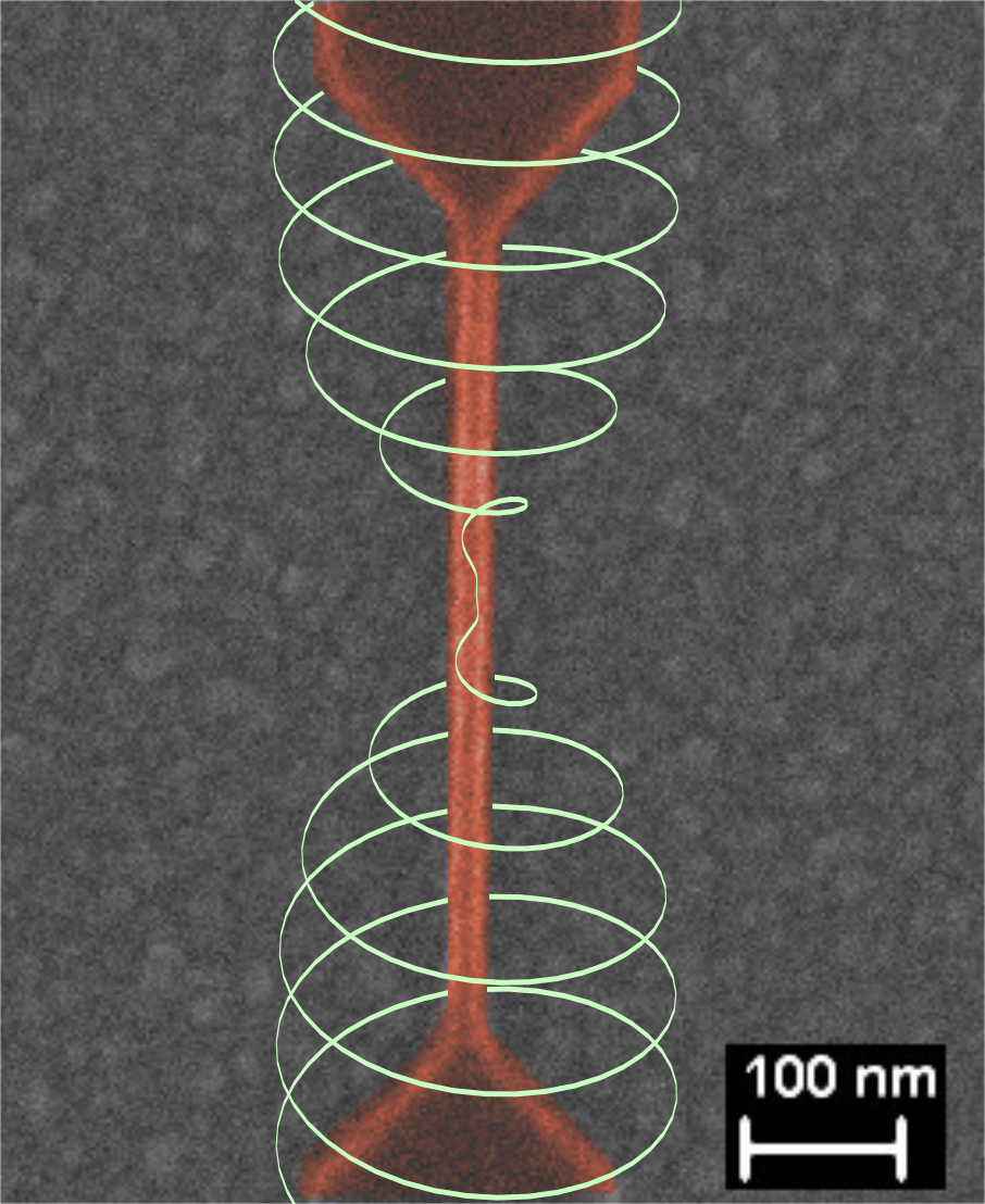 Illustration of the superconducting order parameter fluctuation across a nano-wire.</em><em>The underlying SEM image shows a&nbsp;wire with a width of 20nm made from aluminium-oxide at KIT.